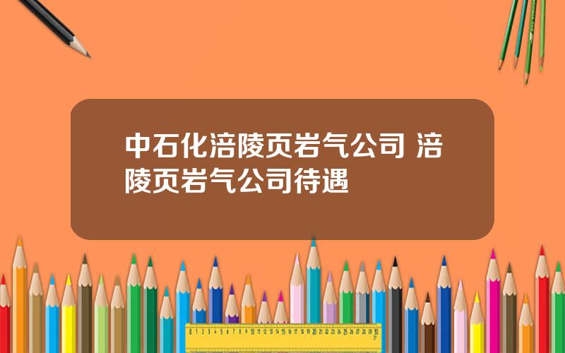 中石化涪陵页岩气公司 涪陵页岩气公司待遇